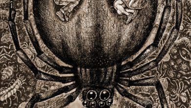 Photo of «Запретные встречи во тьме»