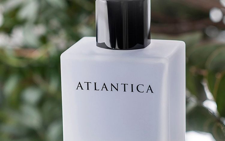 Photo of «Silver Moon» — клуб для звезд