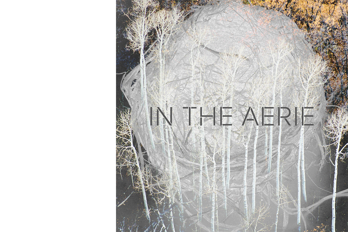 Photo of «Velvet Underground» — атмосфера загадочности